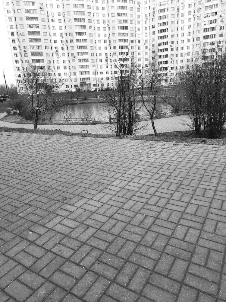 Photograph by Михаил Трусов