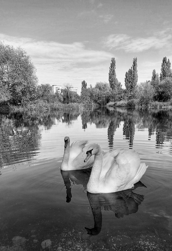 Photograph by Юлия Коробкова