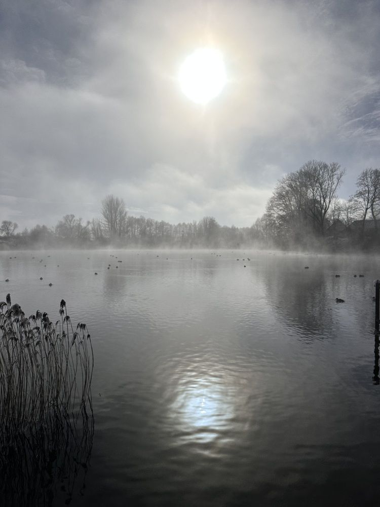 Photograph by Наумова Татьяна