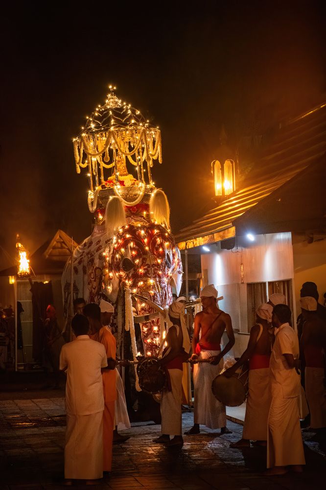 Photograph by Shehan Dondeenu