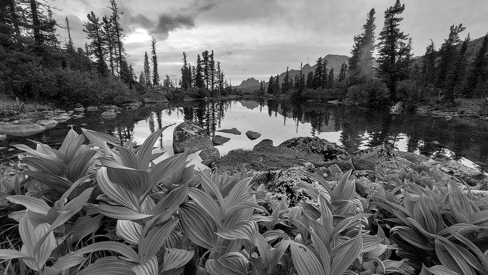 Photograph by Багурский Алексей