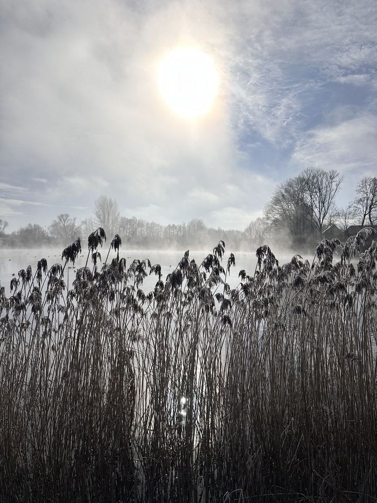 Photograph by Наумова Татьяна