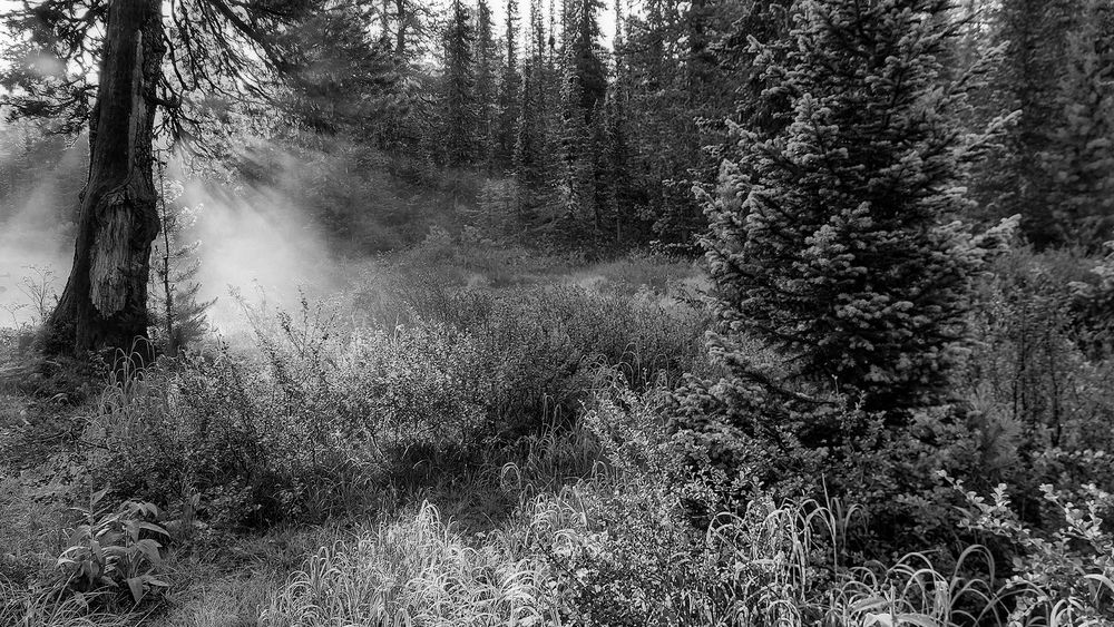 Photograph by Багурский Алексей