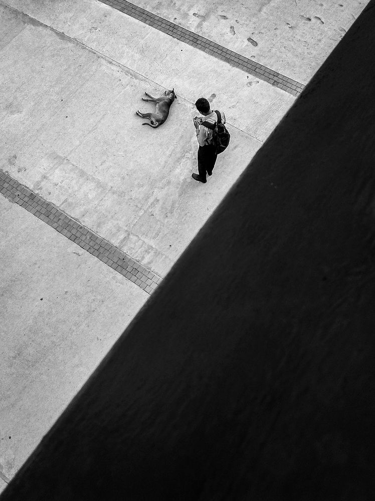 Photograph by Laddu Sasindu Pramuditha De Silva