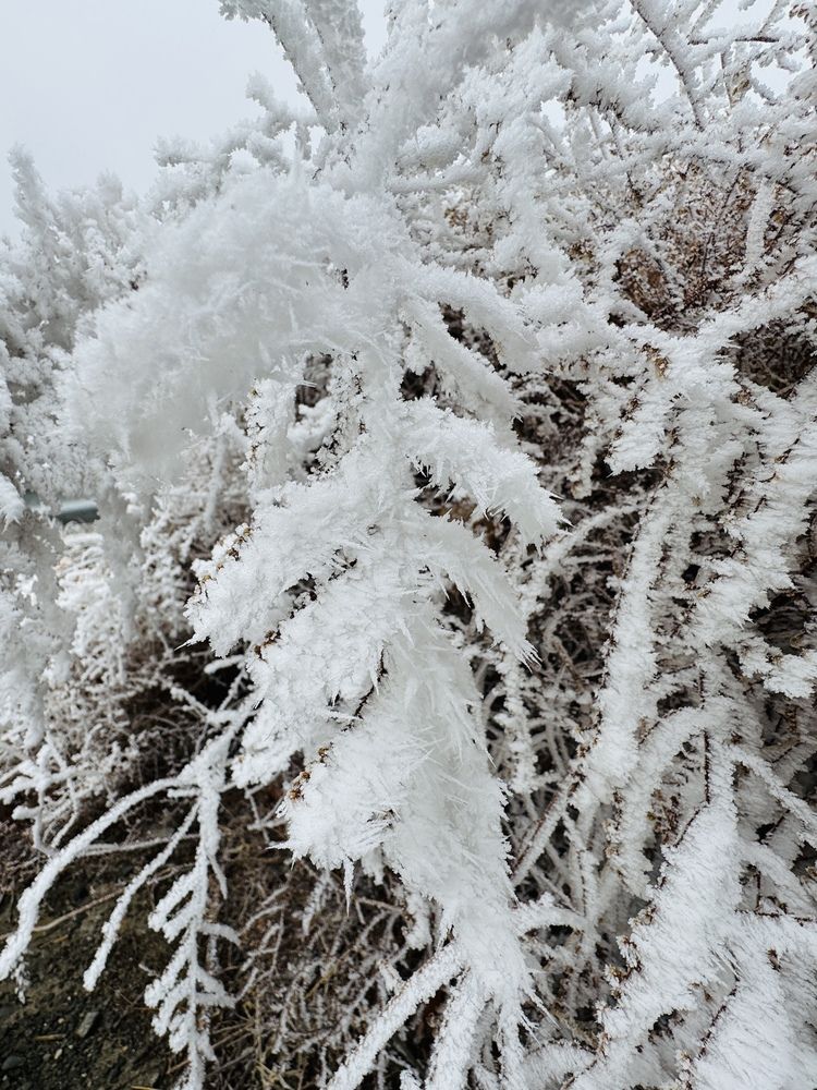 Photograph by Rozaliya Volosevich