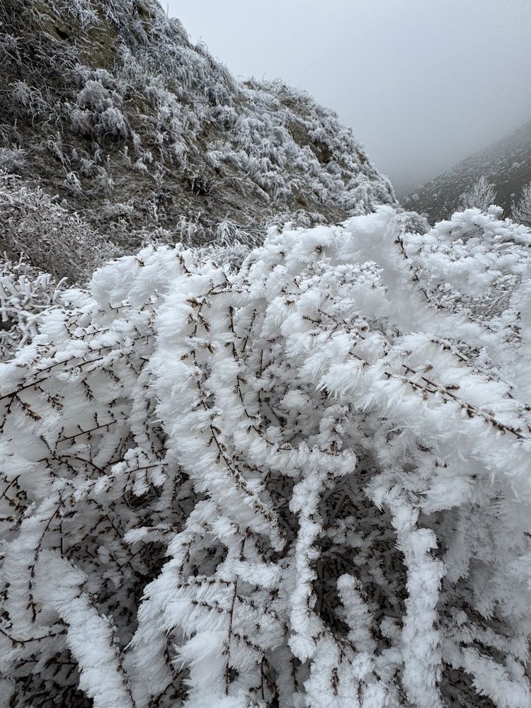 Photograph by Rozaliya Volosevich