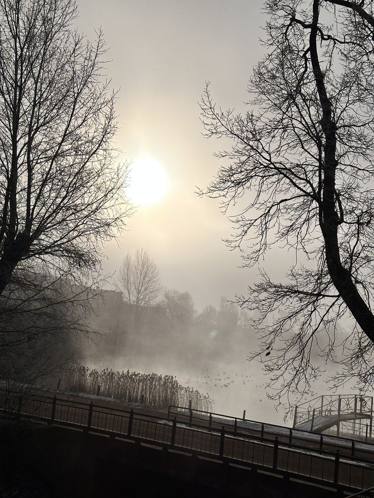 Photograph by Наумова Татьяна