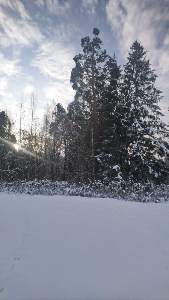 Photograph by Михаил Сербаев