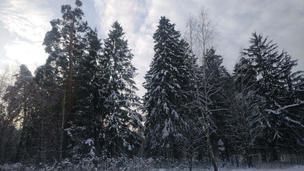 Photograph by Михаил Сербаев