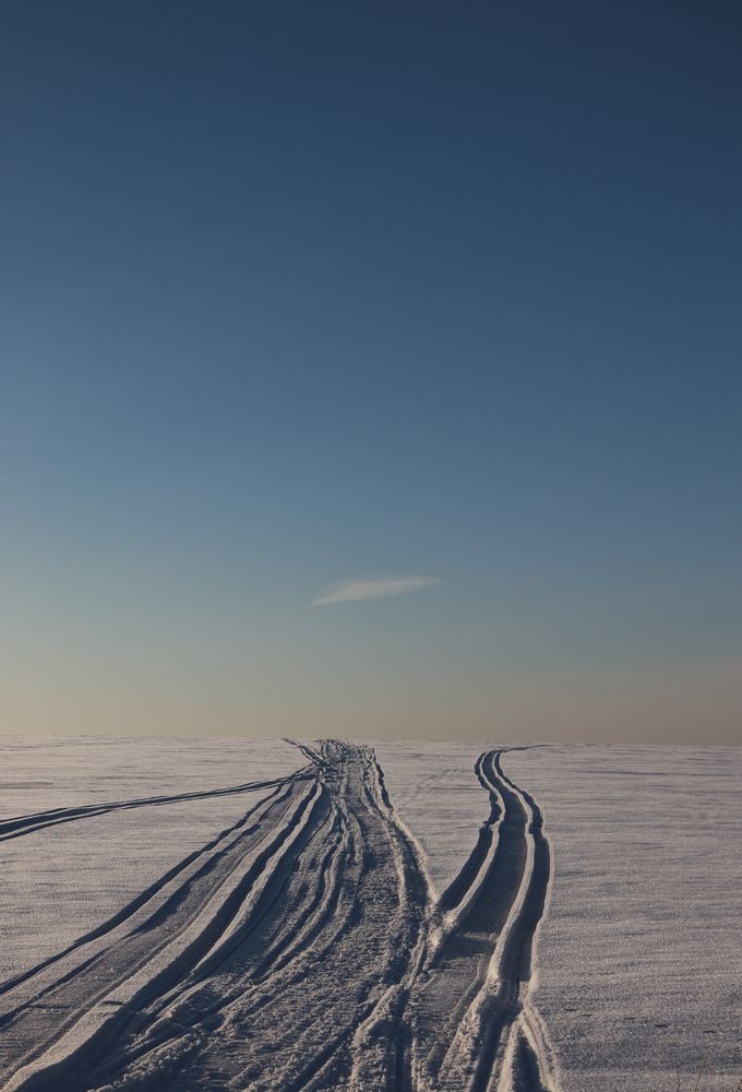 Фотография автора Лилия