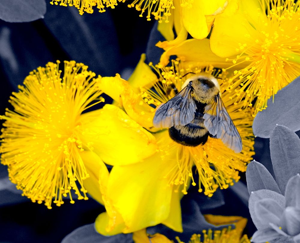 Photograph by Norayr Khazhakyan