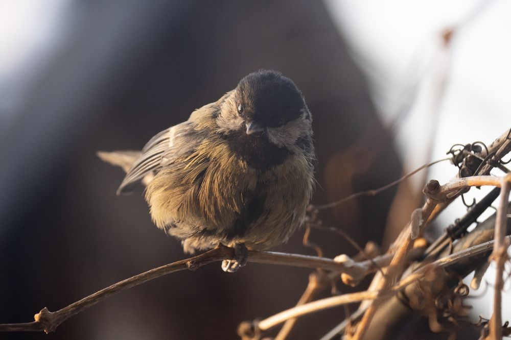 Photograph by Polina Latypova