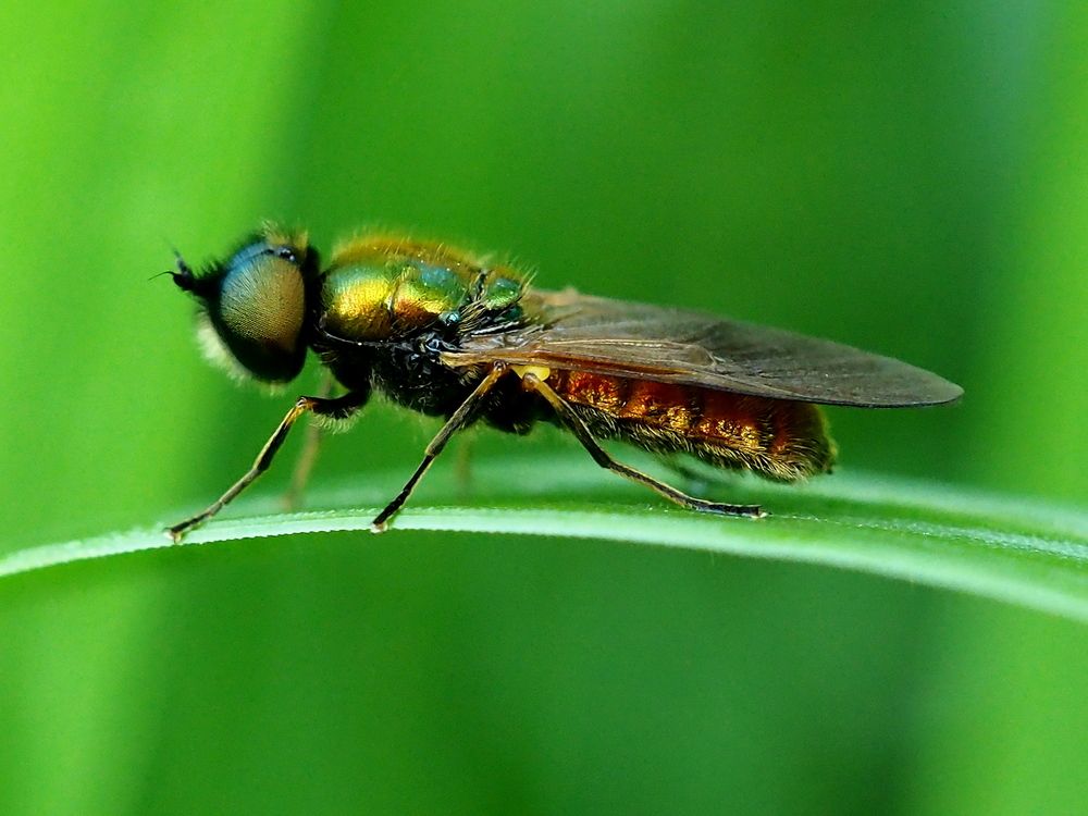 Photograph by Елена Харитонова