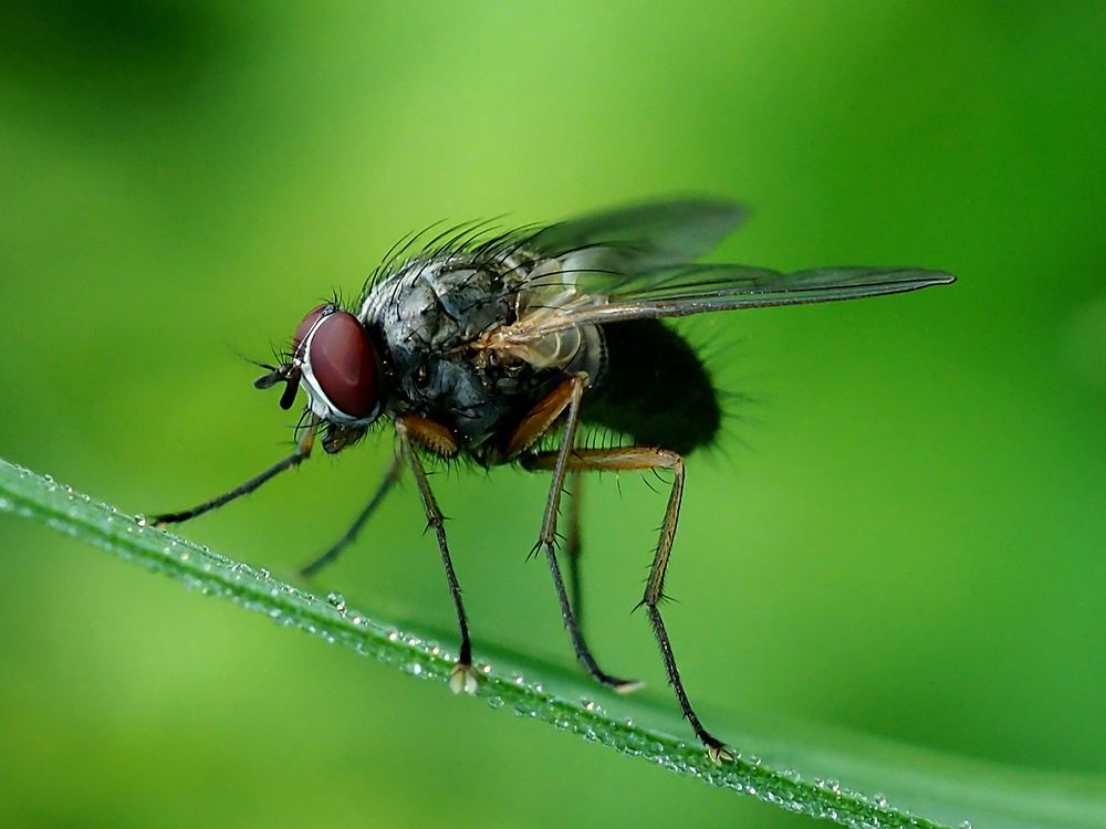 Photograph by Елена Харитонова