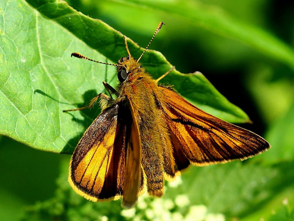 Photograph by Елена Харитонова