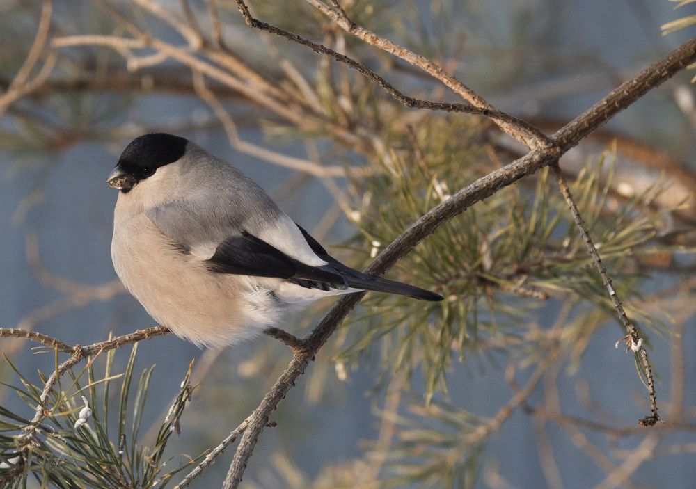 Photograph by Polina Latypova