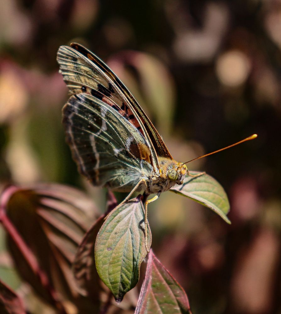 Photograph by Анастасия Мерчик