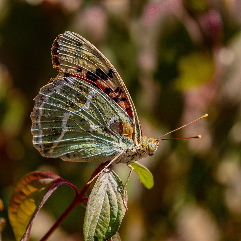 Photograph by Анастасия Мерчик