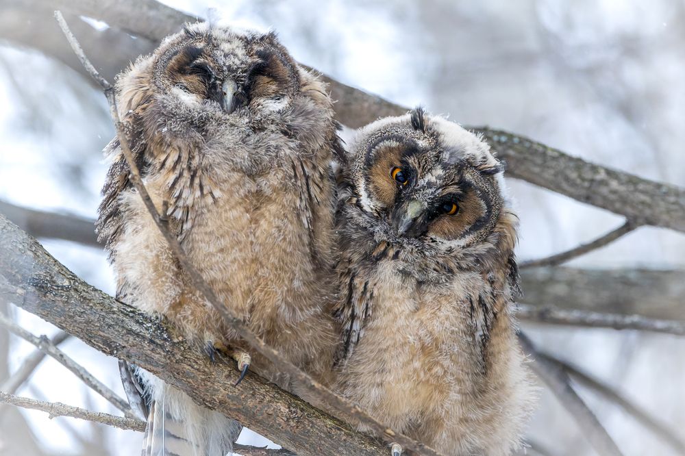 Photograph by Вера Машина