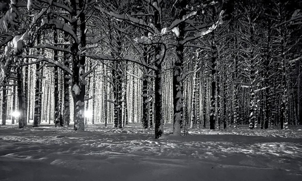 Photograph by Денис Хасанов