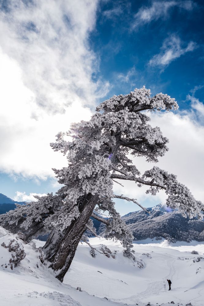 Photograph by Marco Laino