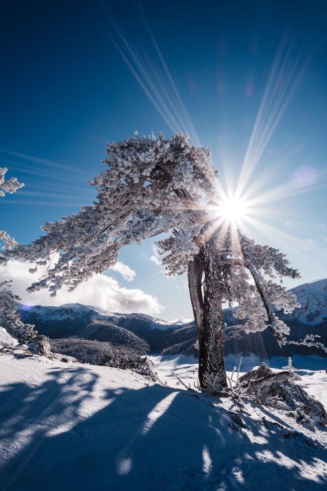 Photograph by Marco Laino