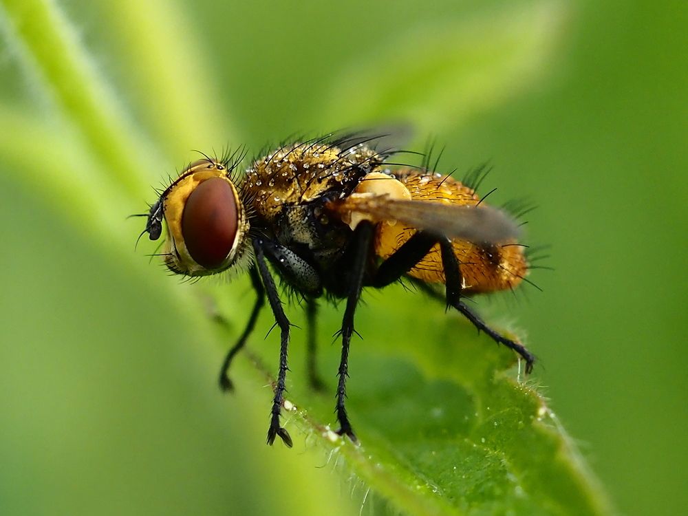 Photograph by Елена Харитонова