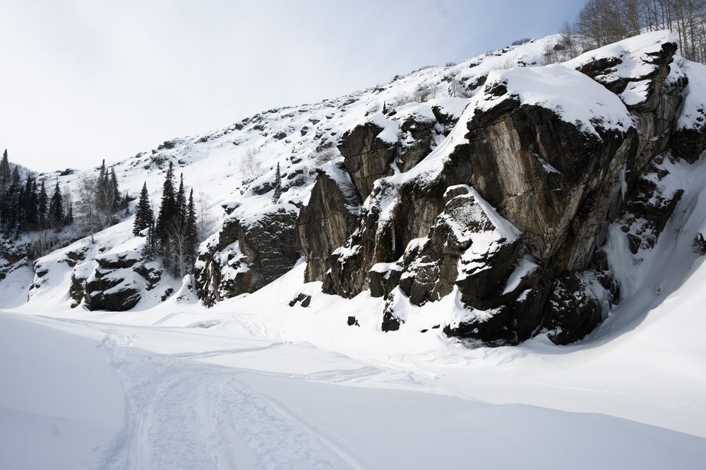 Photograph by Polina Latypova