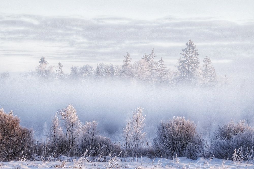 Photograph by Vladimir Freedom