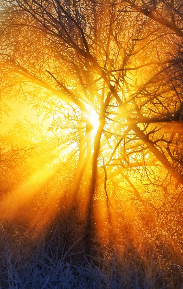 Photograph by Vladimir Freedom