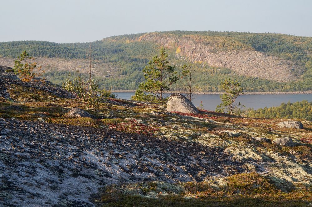 Photograph by Лена Максимкина