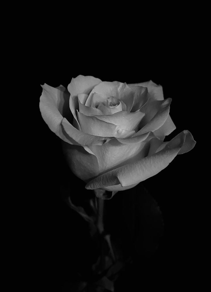 Photograph by Жанна Каргаполова