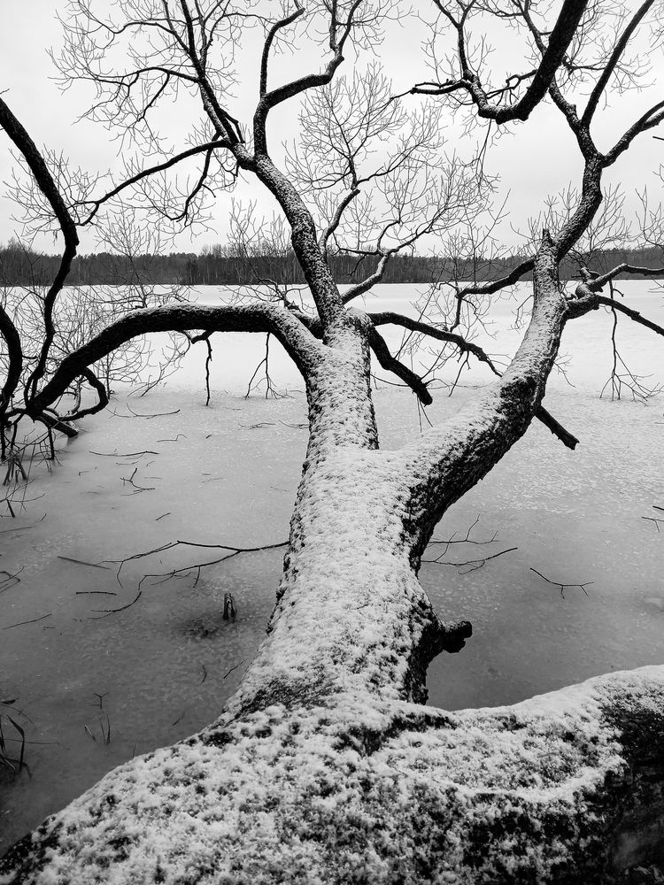 Photograph by Наталья Колеватова