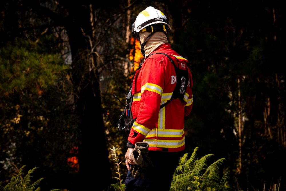 Photograph by João Versos Roldão