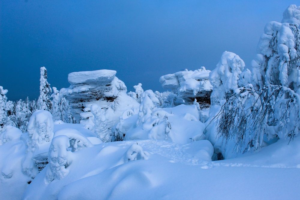 Photograph by Александр Суворов