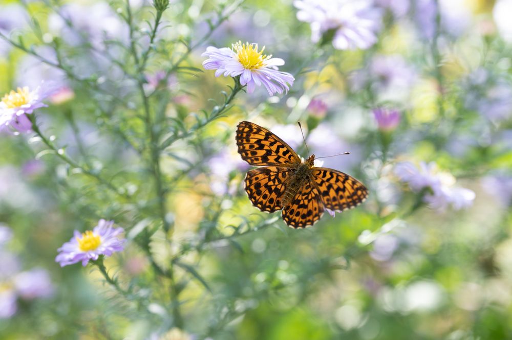 Photograph by Рыков Сергей