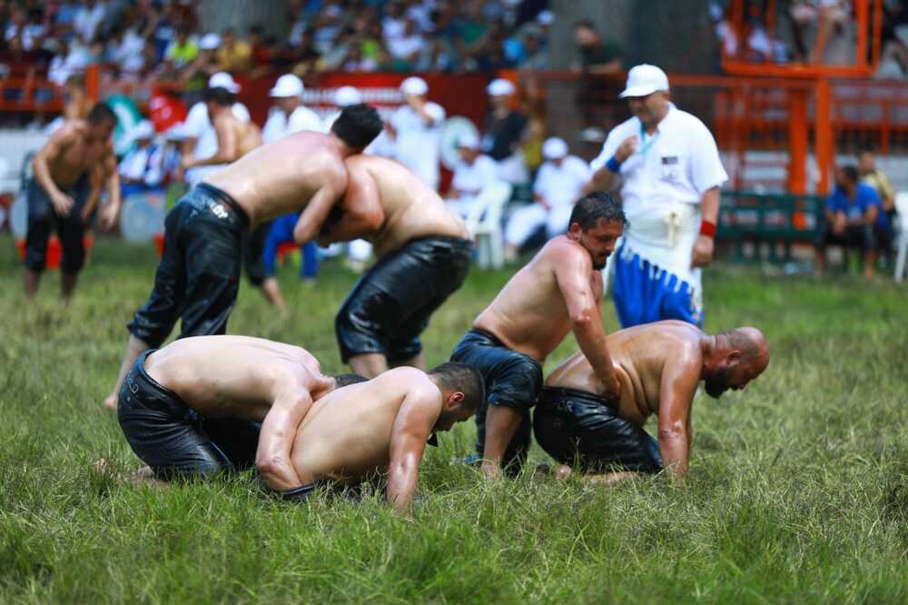 Фотография автора necdet polat