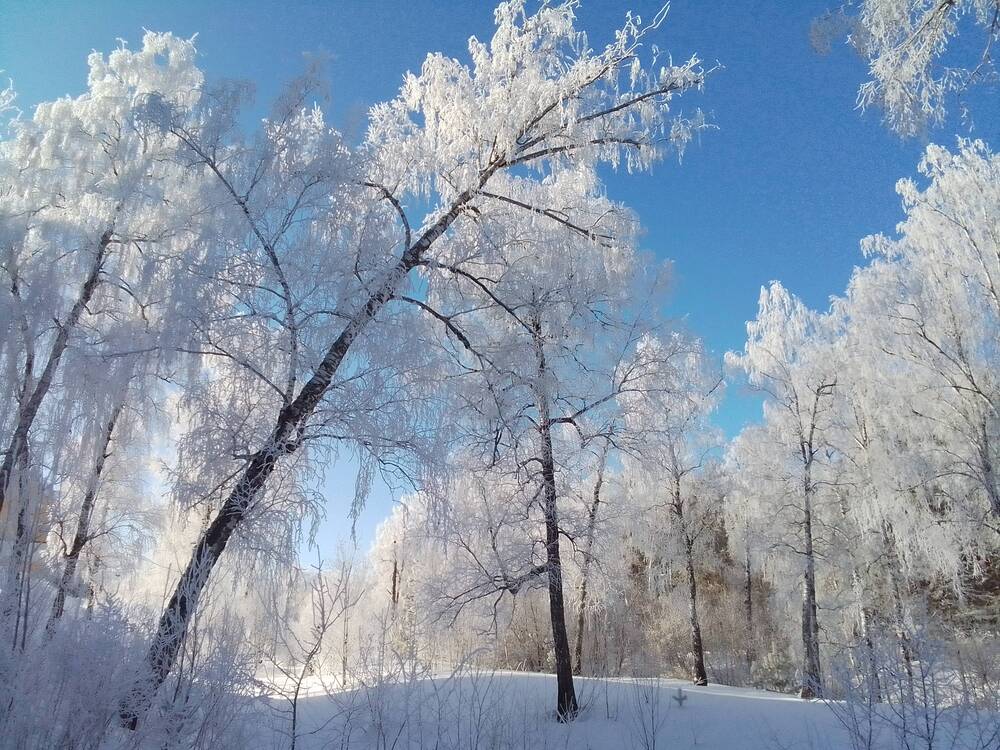 Photograph by Лилия Исхакова