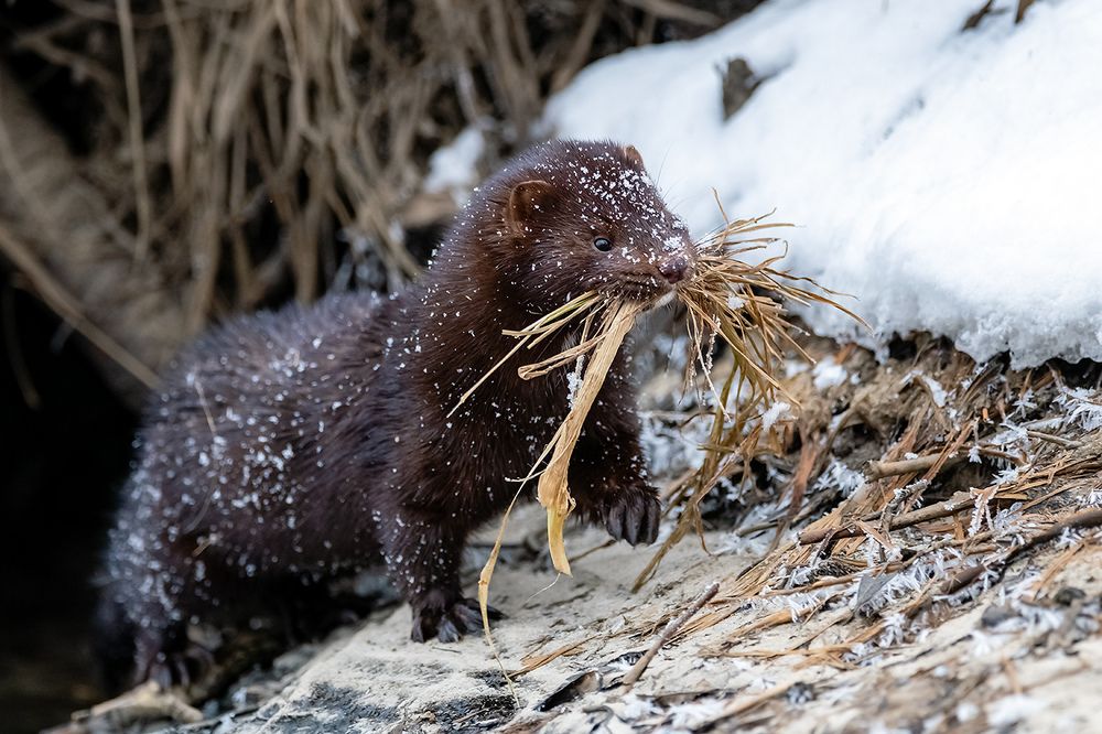 Photograph by Абросимов Александр