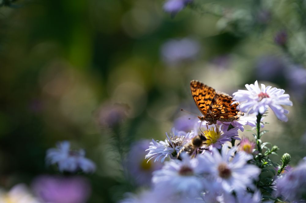 Photograph by Рыков Сергей