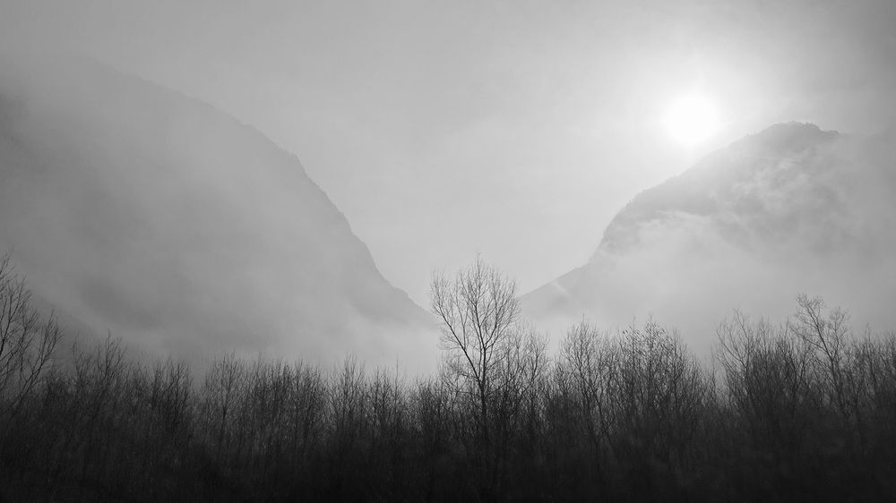 Photograph by Наталья Egoza