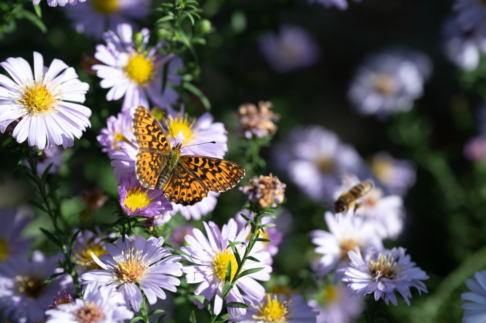 Photograph by Рыков Сергей