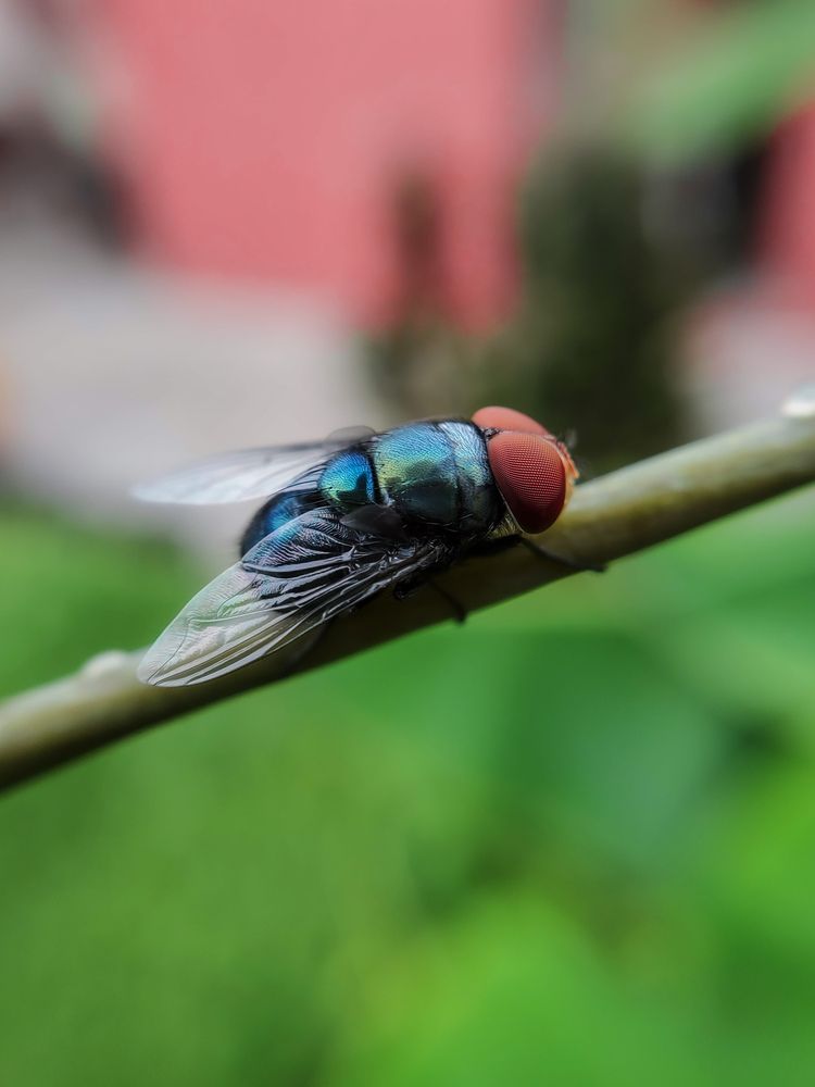 Photograph by Wanery COULIBALY