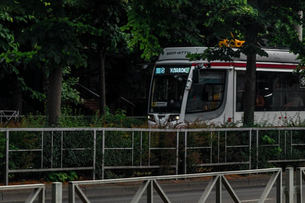 Photograph by Виталий Шкадинов