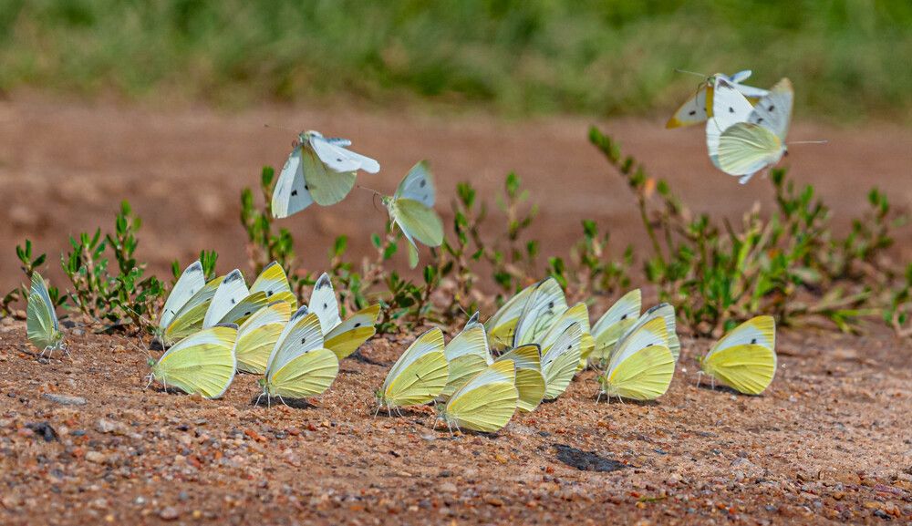 Photograph by Александр Евгеньевич Есликов