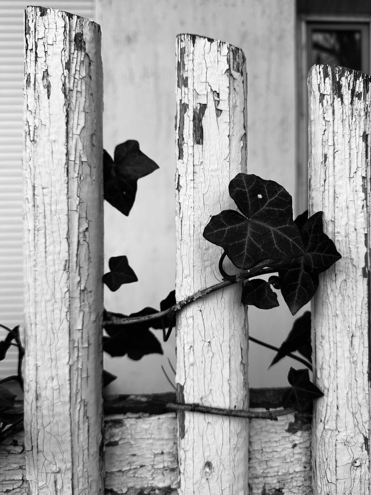 Photograph by Ksenia Sinitskaja