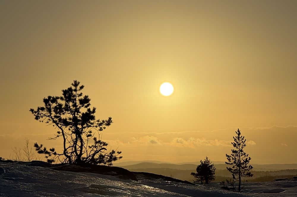 Солнечный февраль на Кольском