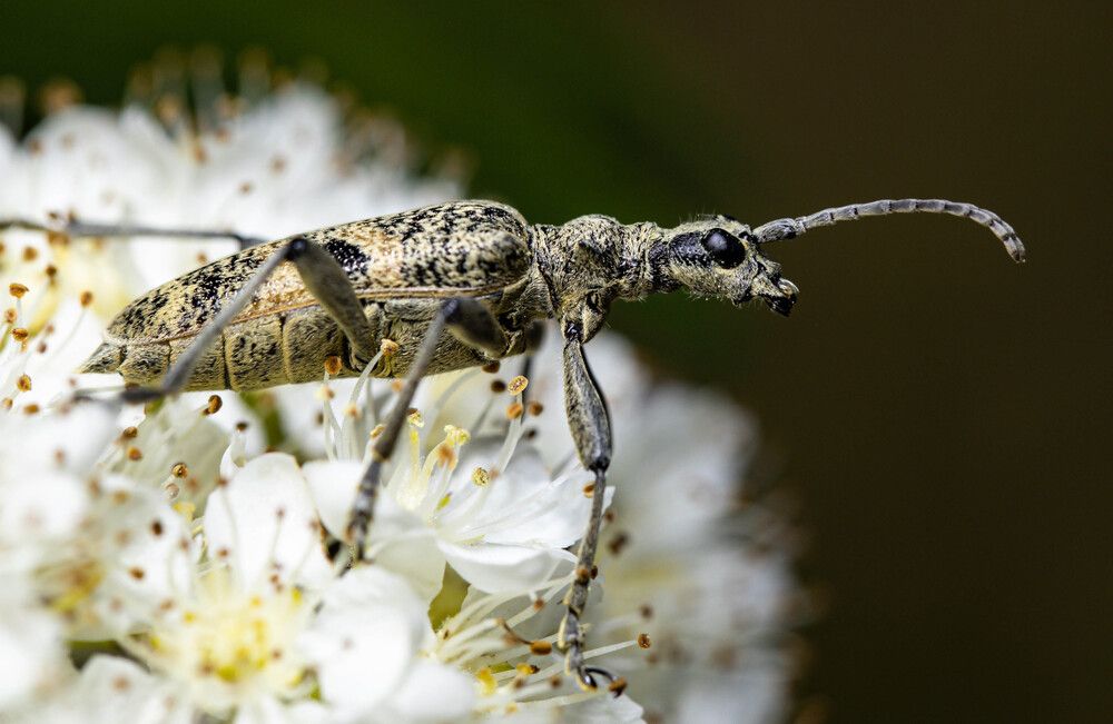 Photograph by Александр Евгеньевич Есликов