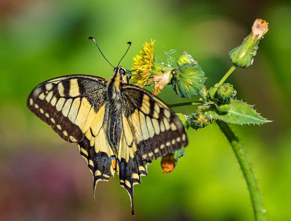 Photograph by Александр Евгеньевич Есликов