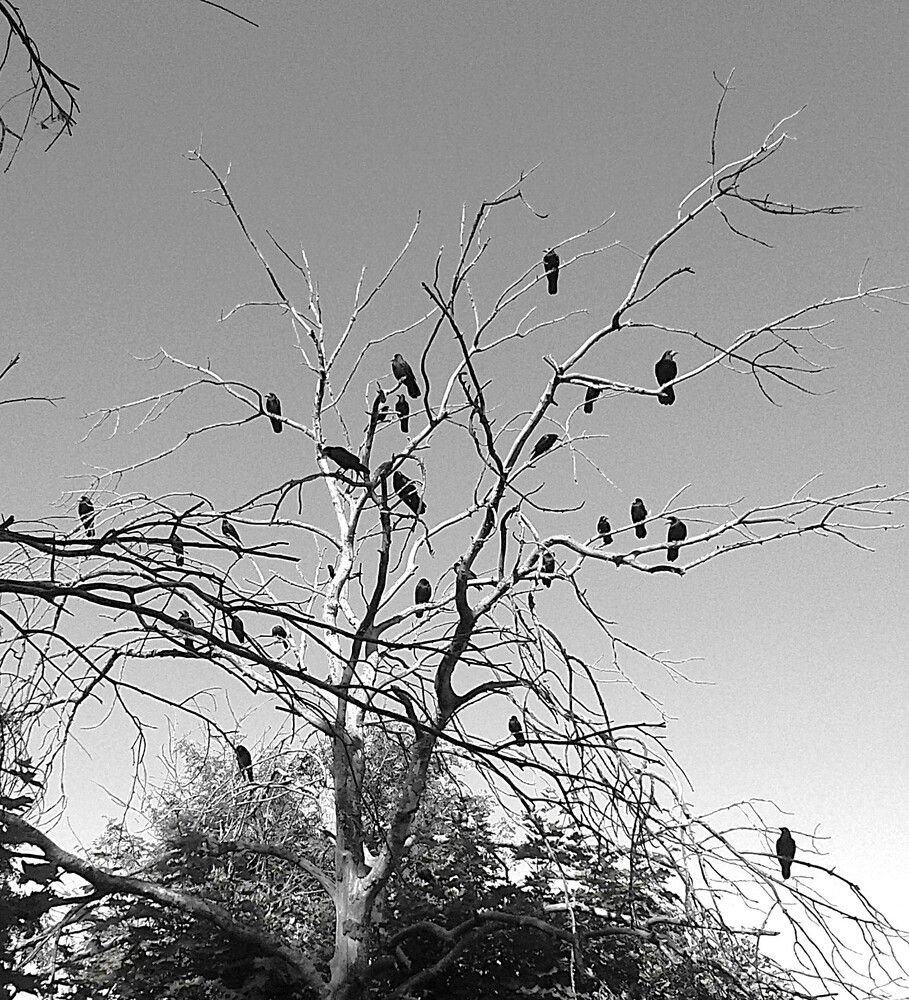 Photograph by Михаил Трусов